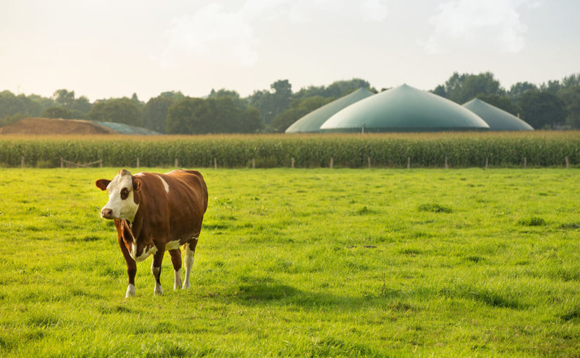 Nouvelle expertise hydrogéologique – Station épuration (éléments de preuve postérieurs à une délibération)